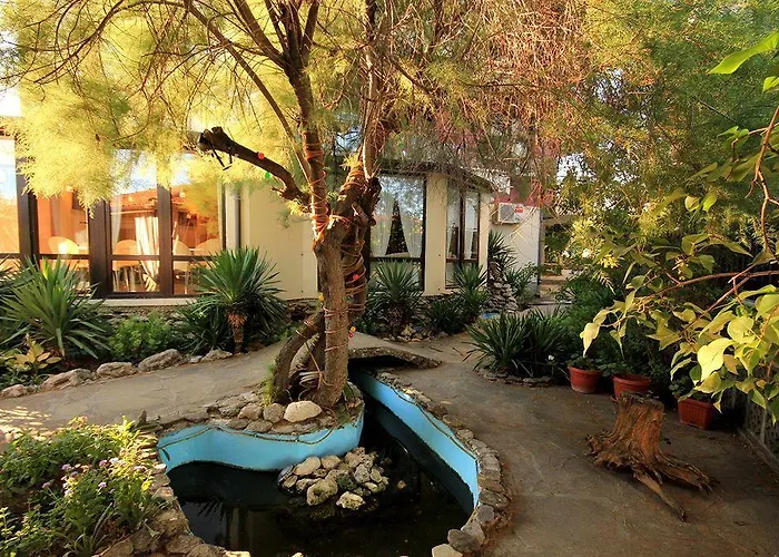 Guest house Coral 3*