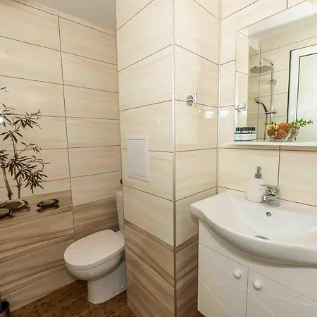 Coral 3* ابزور